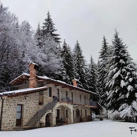 La Casa Del Sarto - Federicofarm Farm stay *