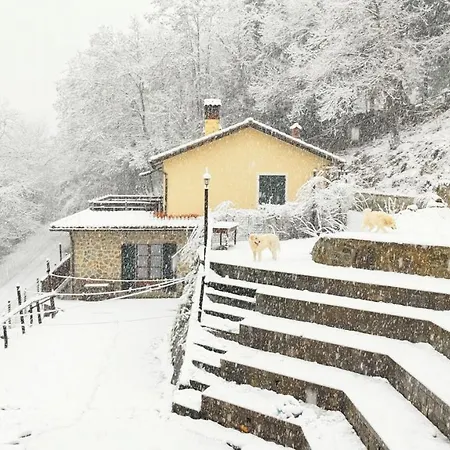 La Casa Del Sarto - Federicofarm Farm stay *