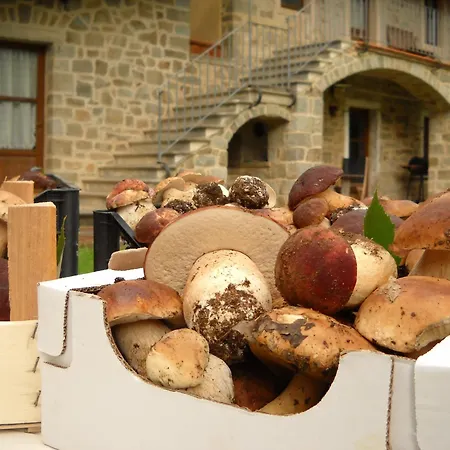 Farm stay La Casa Del Sarto - Federicofarm *