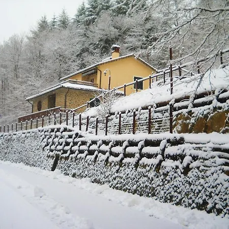 La Casa Del Sarto - Federicofarm Farm stay