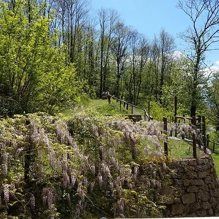 La Casa Del Sarto - Federicofarm Pontremoli